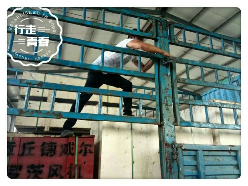 三葉（標準型）羅茨風機發貨圖六