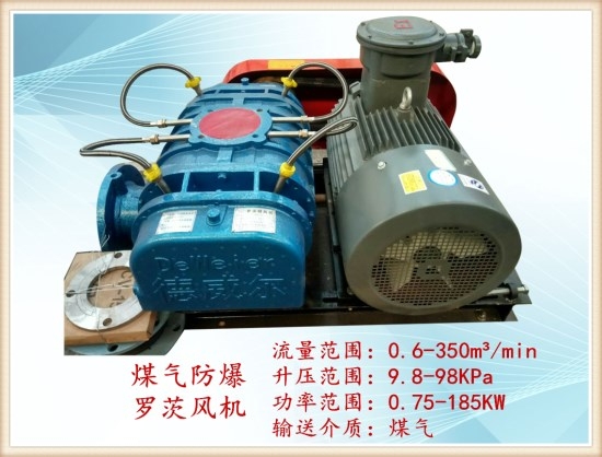 煤氣增壓羅茨風(fēng)機